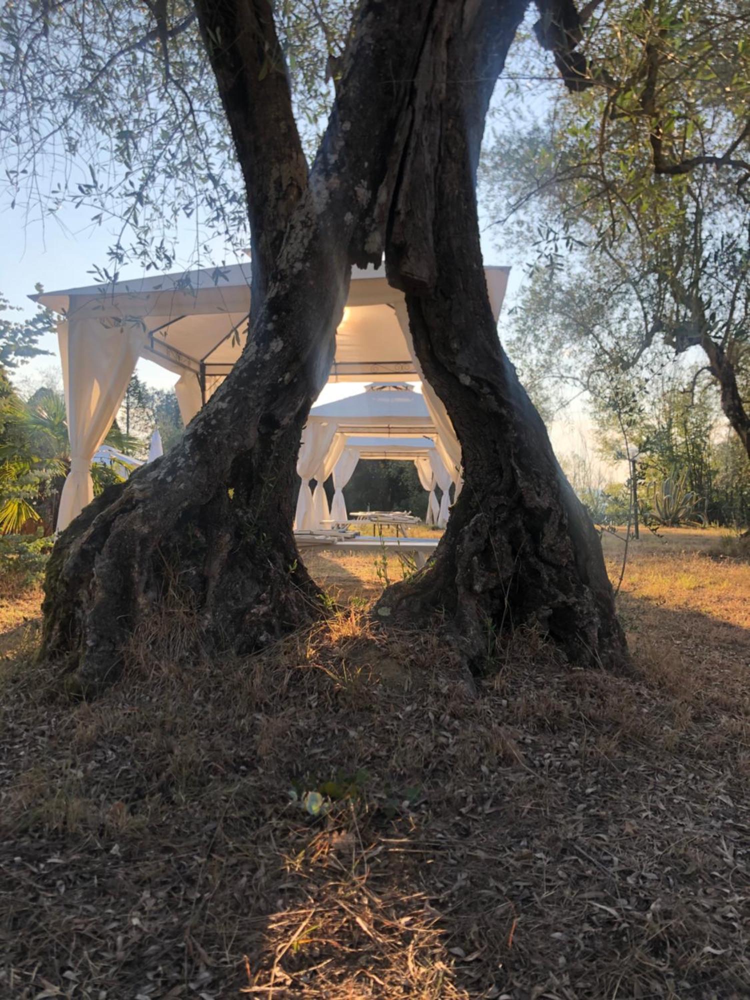 Вілла La Casa D'Ambra Torre A Castello Екстер'єр фото